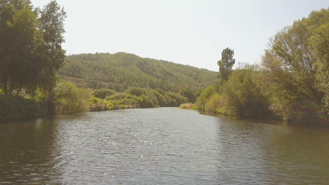 Suites Do Pinhal Proença-a-Nova エクステリア 写真